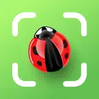 Bug Identifier - Insect,Spider iOS Icon