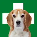 Erste Hilfe Hund iOS Icon