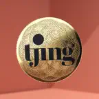 Tjing - Fun pocket money icon