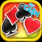 Solitaire Spiderette: Win Cash iOS Icon