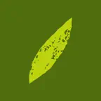 Sally & Patrick's iOS Icon