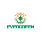 Evergreen Marine Icon