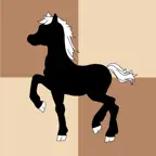 Lite lichess • Online Chess Icon