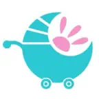 Buggyrent iOS Icon