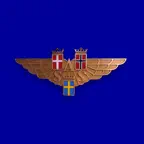 SAS Museum iOS Icon