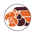 El Metro Ticketing iOS Icon