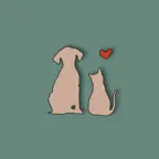 Petto iOS Icon