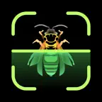Insect Identifier iOS Icon