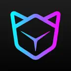 数字猫 icon