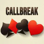 Callbreak HD iOS Icon