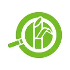 CengiApp iOS Icon