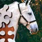 Jigsaw Puzzle Horses Edition iOS Icon