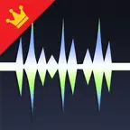 WavePad Master's Edition iOS Icon