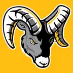 RamLink iOS Icon