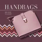 Women bag fashion store online iOS Icon