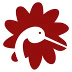 StarAndDaisy- Baby and Kids Icon
