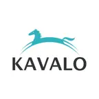 Kavalo iOS Icon