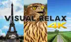 Visual Relax 4K iOS Icon