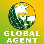 Global Agent iOS Icon