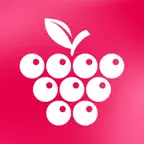 Калина Малина: доставка еды iOS Icon