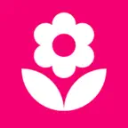 Lotto - Birthday iOS Icon