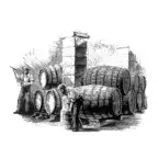 Bodega Manuel Aragón Sanatorio iOS Icon