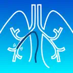 HI-PEITHO iOS Icon