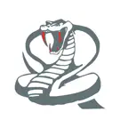 Ria Sebetsa Security iOS Icon