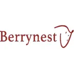 InfoSign Berrynest iOS Icon