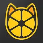 Petovik — Closer to your pet iOS Icon