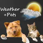 Weather+ Pets Wallpapers iOS Icon