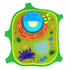 Plant Cell iOS Icon