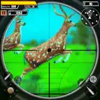 Animal Hunting Game 4x4 Safari iOS Icon