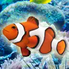 Touch the fish! - Aquarium Sim iOS Icon