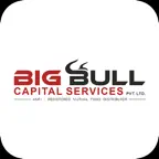 BIG BULL Icon