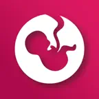 iPink Kickcounter iOS Icon