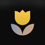 Daily Motivation,Affirmations iOS Icon