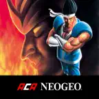 WORLD HEROES PERFECT iOS Icon