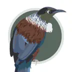 Twitcher: Birds of New Zealand icon