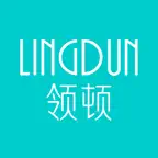 领顿电管 iOS Icon
