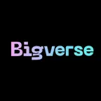 NFTCN-Bigverse旗下数字藏品平台 icon