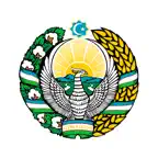 Constitution UZ iOS Icon