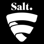 Salt Internet Security iOS Icon