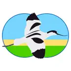 Vogels van Nederland en België iOS Icon
