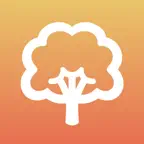 Life Balance iOS Icon