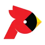 STL Pinch Hits iOS Icon