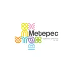 Metepec *7311 icon