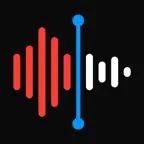 Recorder - Voice Memos iOS Icon