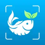 Fish Identifier - AI Fish ID iOS Icon