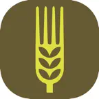 Red Sevilla Sin Gluten iOS Icon